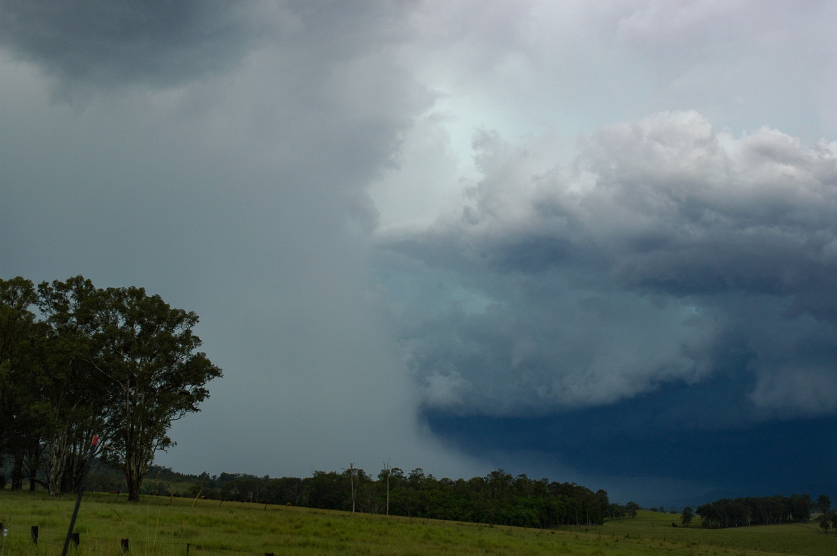 microburst micro_burst : near Tabulam, NSW   10 March 2005