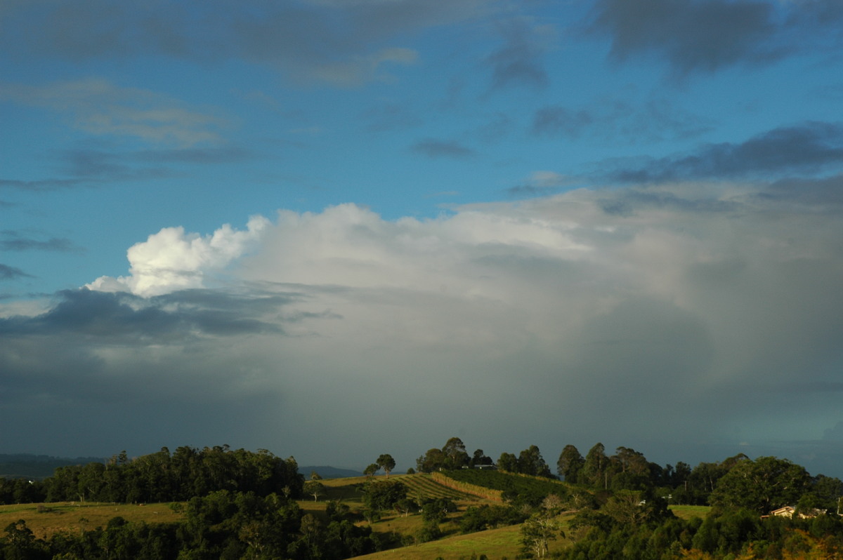 cumulus congestus : McLeans Ridges, NSW   15 March 2005