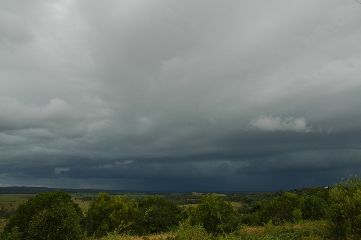 cumulonimbus thunderstorm_base : near Coraki, NSW   26 March 2005