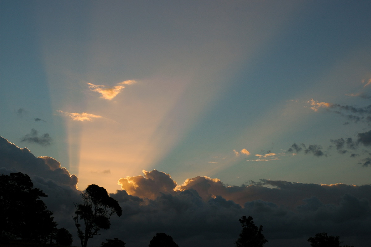 cumulus mediocris : McLeans Ridges, NSW   4 April 2005