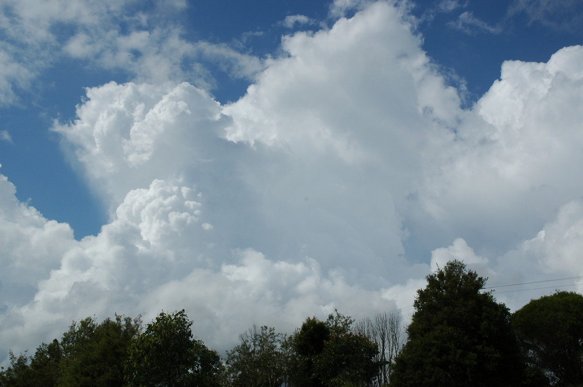 thunderstorm cumulonimbus_calvus : McLeans Ridges, NSW   20 April 2005