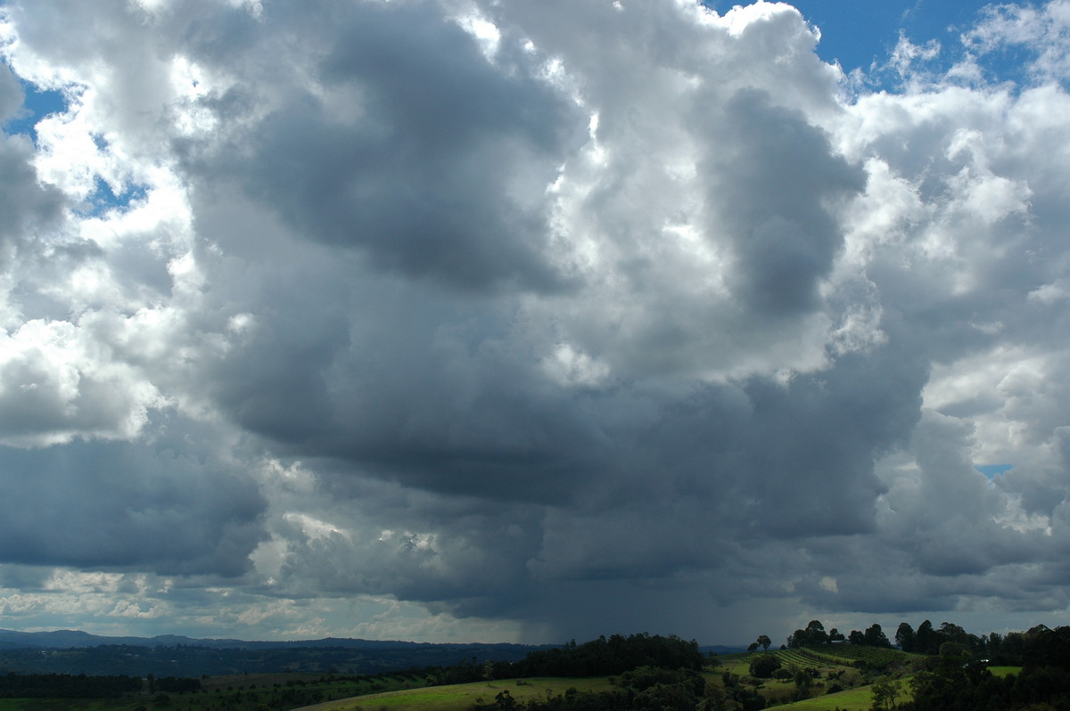 raincascade precipitation_cascade : McLeans Ridges, NSW   26 April 2005