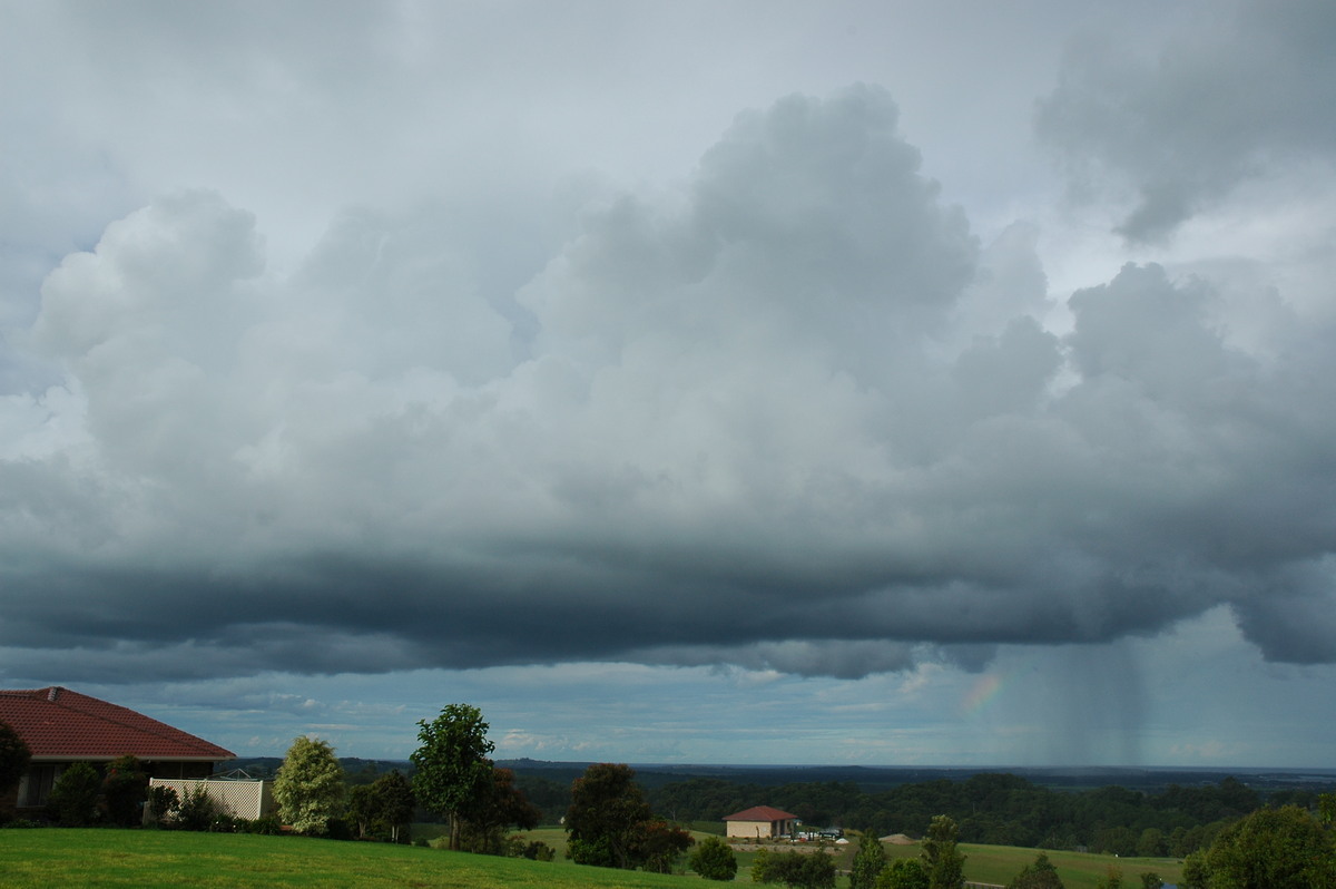 cumulus congestus : Alstonville, NSW   26 April 2005