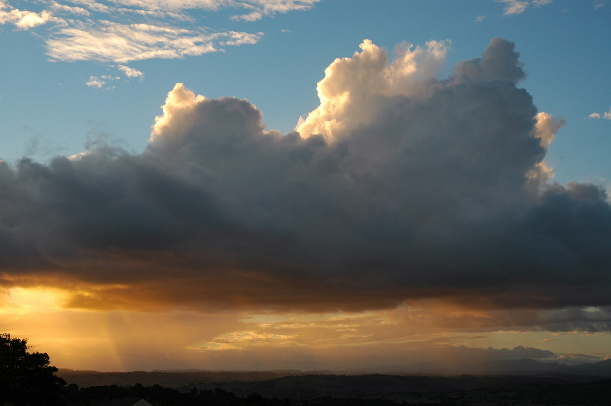 cumulus mediocris : McLeans Ridges, NSW   27 April 2005