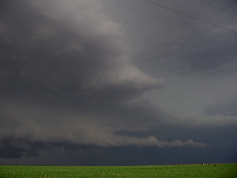 cumulonimbus supercell_thunderstorm : near Littlefield, Texas, USA   31 May 2005