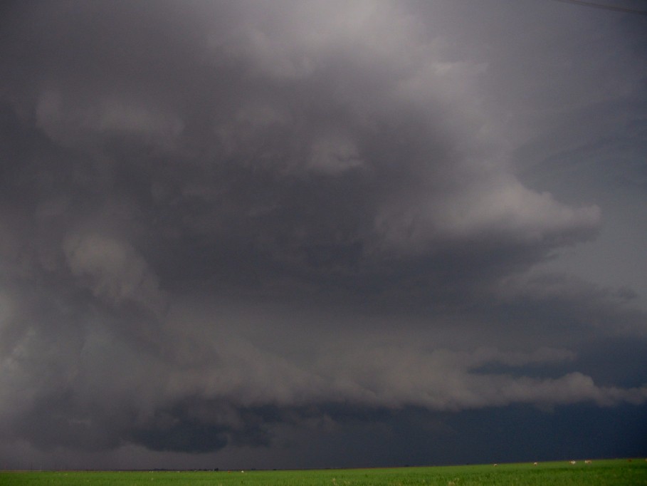 cumulonimbus supercell_thunderstorm : near Littlefield, Texas, USA   31 May 2005