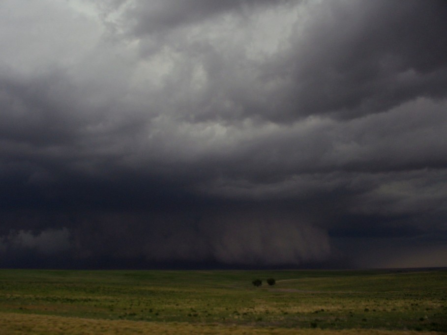 shelfcloud shelf_cloud : near Lindon, Colorado, USA   2 June 2005