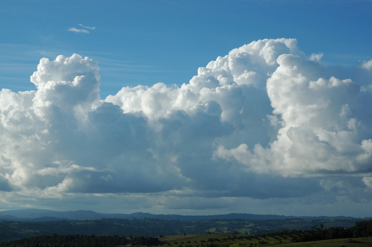 cumulus congestus : McLeans Ridges, NSW   8 June 2005