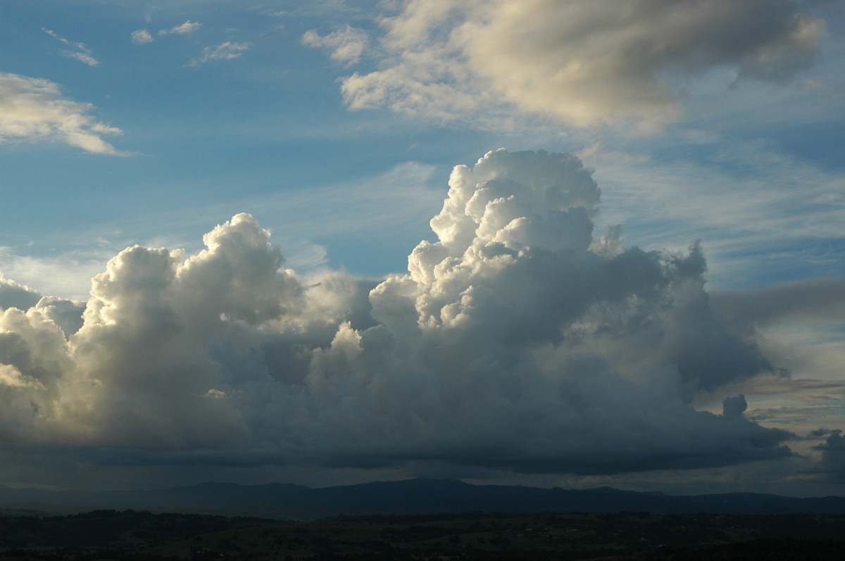 cumulus congestus : McLeans Ridges, NSW   8 June 2005