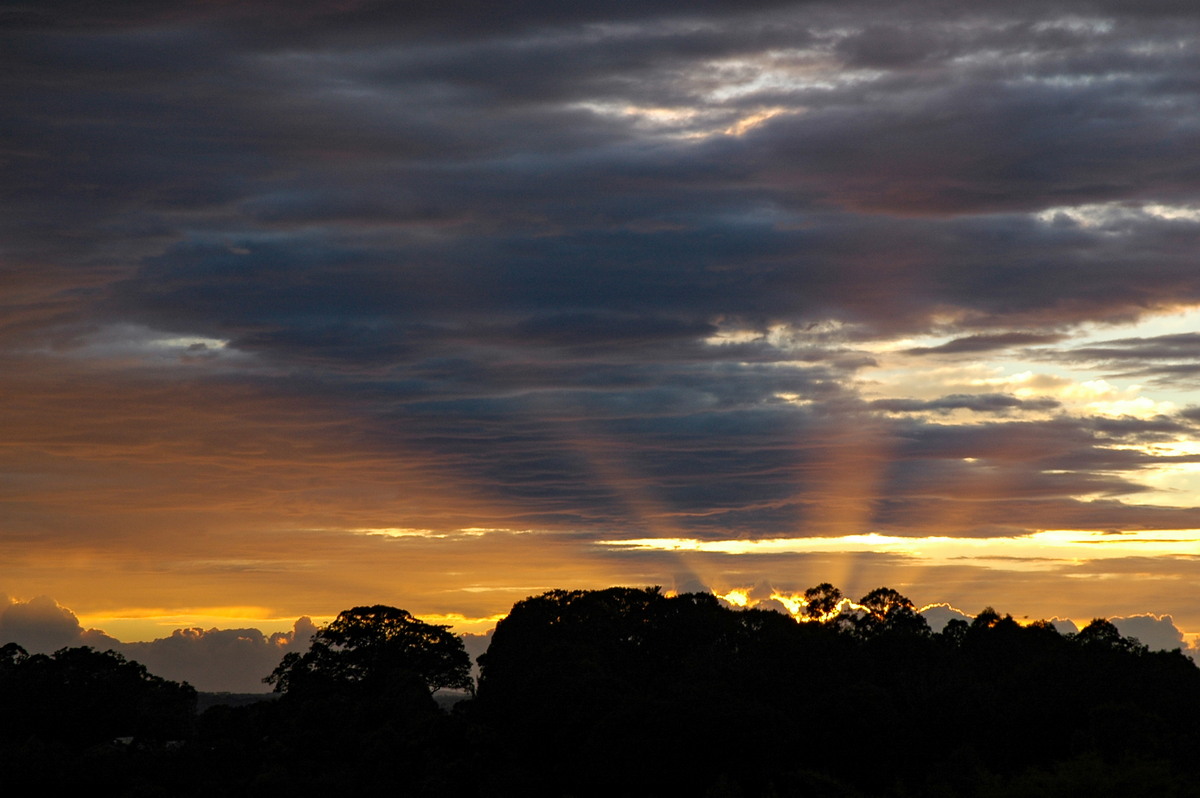 favourites michael_bath : McLeans Ridges, NSW   14 June 2005