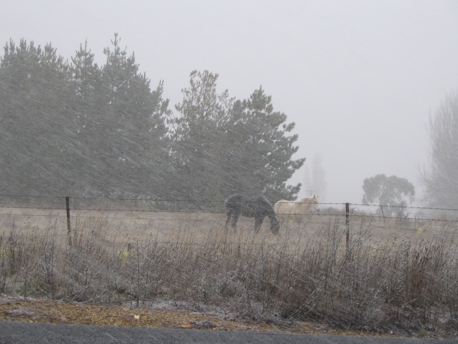 precipitation precipitation_rain : near Oberon, NSW   22 June 2005