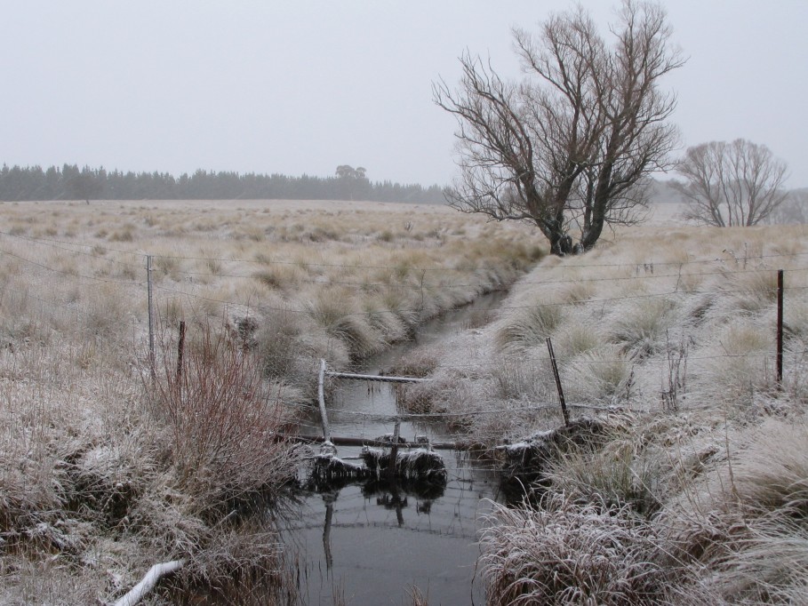 snow snow_pictures : near Oberon, NSW   23 June 2005