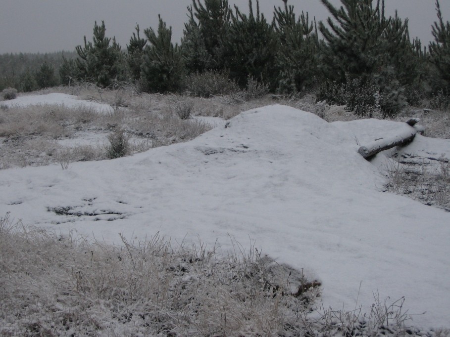 snow snow_pictures : near Oberon, NSW   23 June 2005