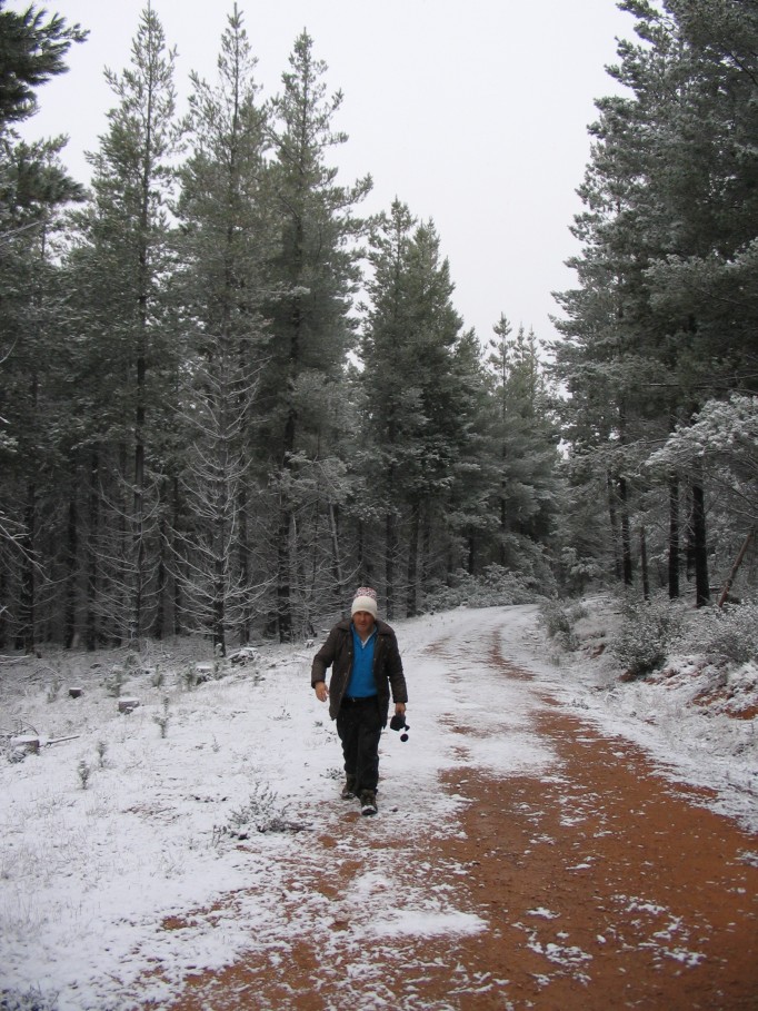 snow snow_pictures : near Oberon, NSW   23 June 2005