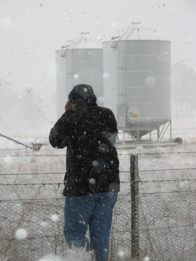 snow snow_pictures : near Oberon, NSW   23 June 2005