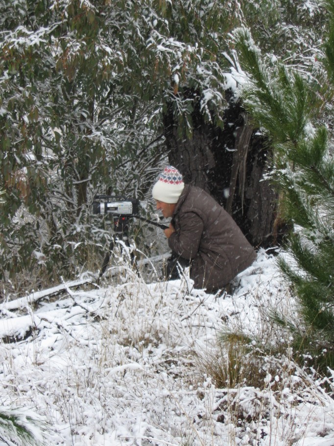 snow snow_pictures : near Oberon, NSW   23 June 2005