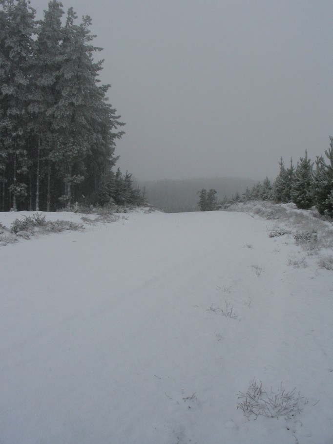 snow snow_pictures : near Oberon, NSW   23 June 2005