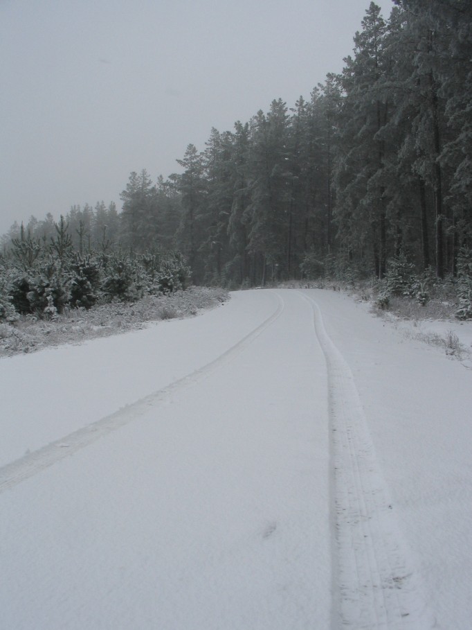 snow snow_pictures : near Oberon, NSW   23 June 2005