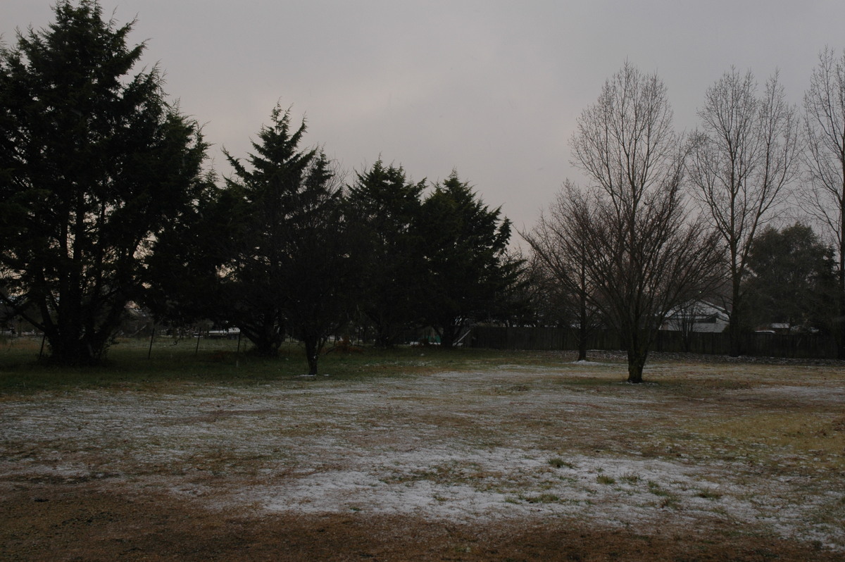 snow snow_pictures : Guyra, NSW   23 June 2005