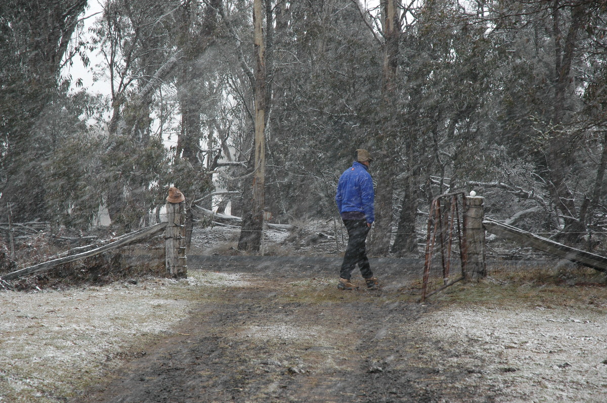 precipitation precipitation_rain : Ben Lomond, NSW   23 June 2005