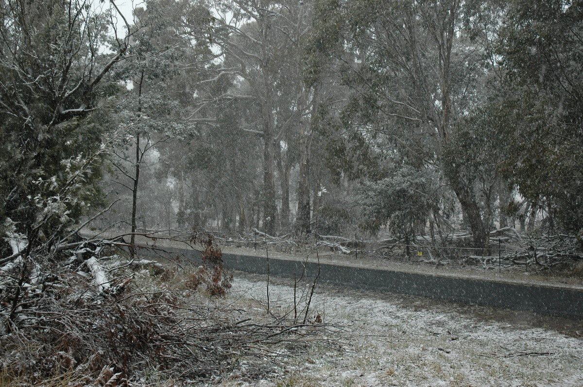 snow snow_pictures : Ben Lomond, NSW   23 June 2005