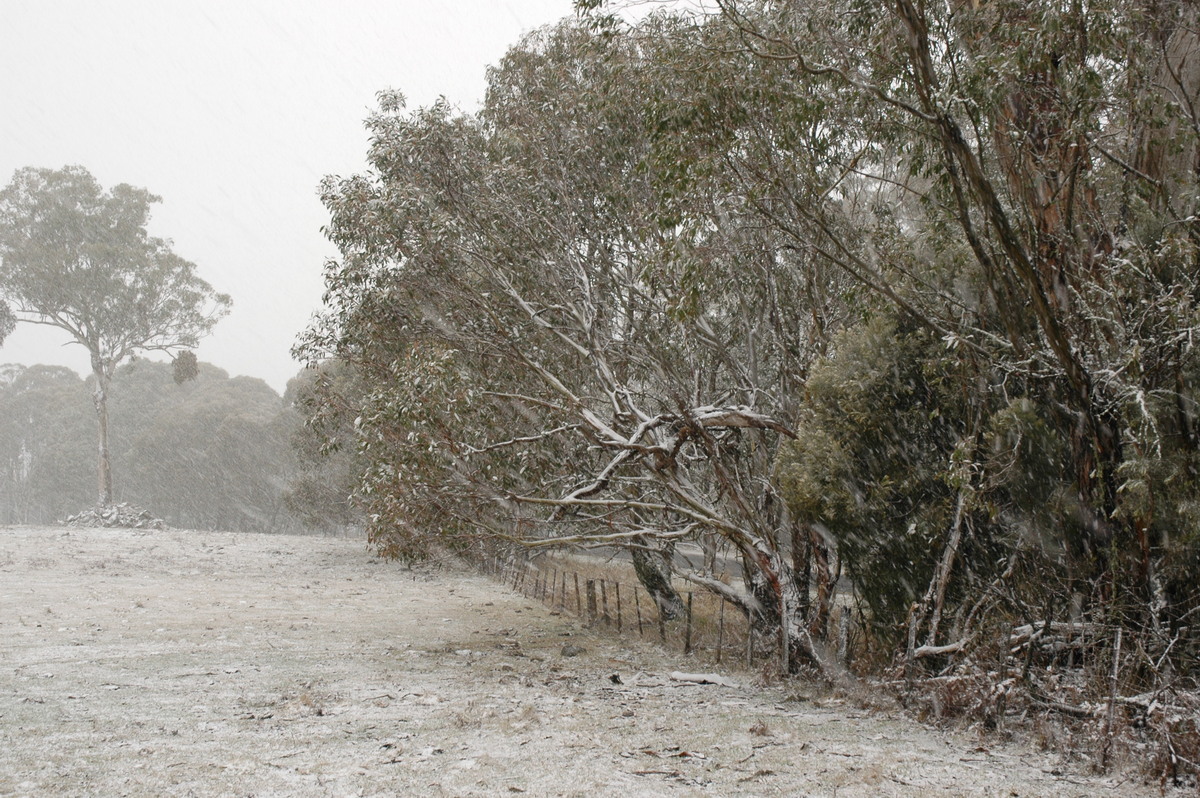 precipitation precipitation_rain : Ben Lomond, NSW   23 June 2005