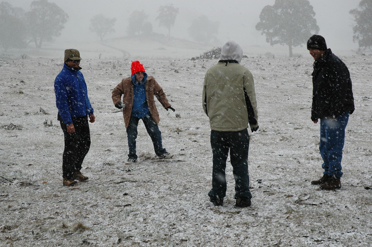 precipitation precipitation_rain : Ben Lomond, NSW   23 June 2005