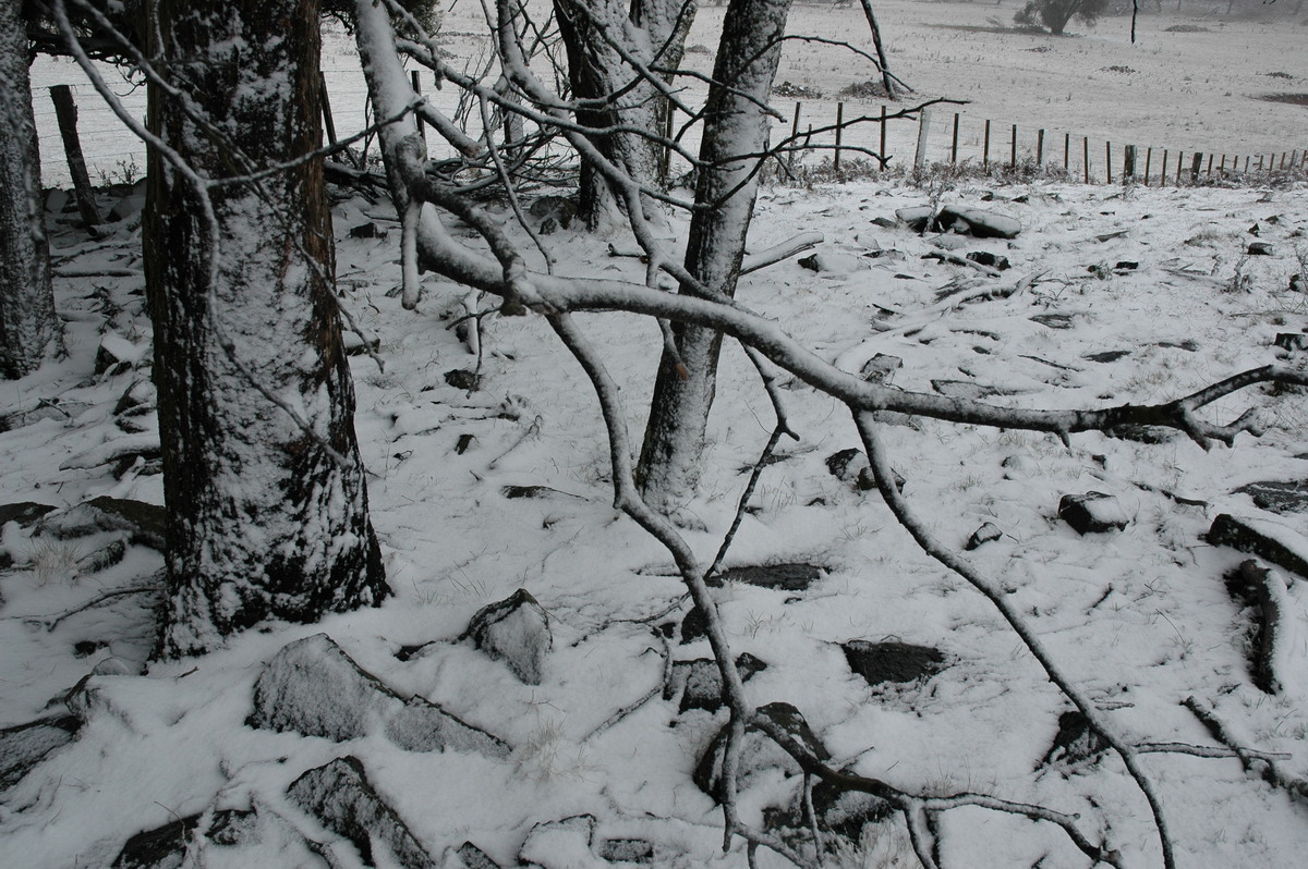 snow snow_pictures : Ben Lomond, NSW   23 June 2005