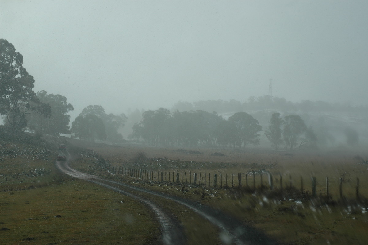 snow snow_pictures : Ben Lomond, NSW   23 June 2005