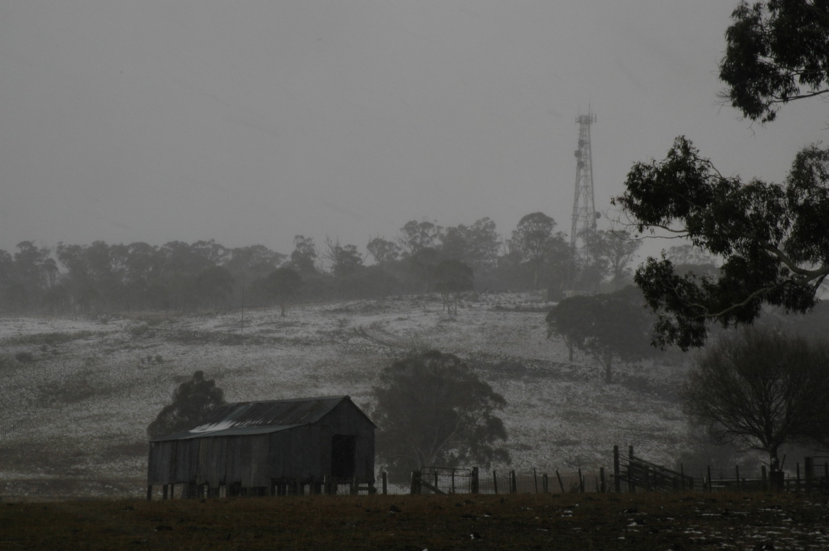 snow snow_pictures : Ben Lomond, NSW   23 June 2005