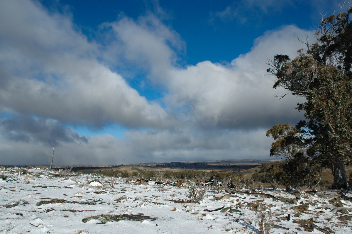 stratocumulus stratocumulus_cloud : Ben Lomond, NSW   23 June 2005