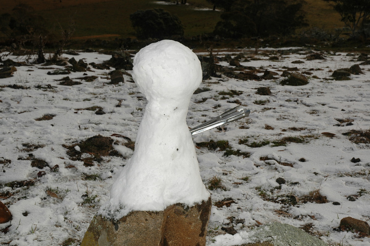 snow snow_pictures : Ben Lomond, NSW   23 June 2005