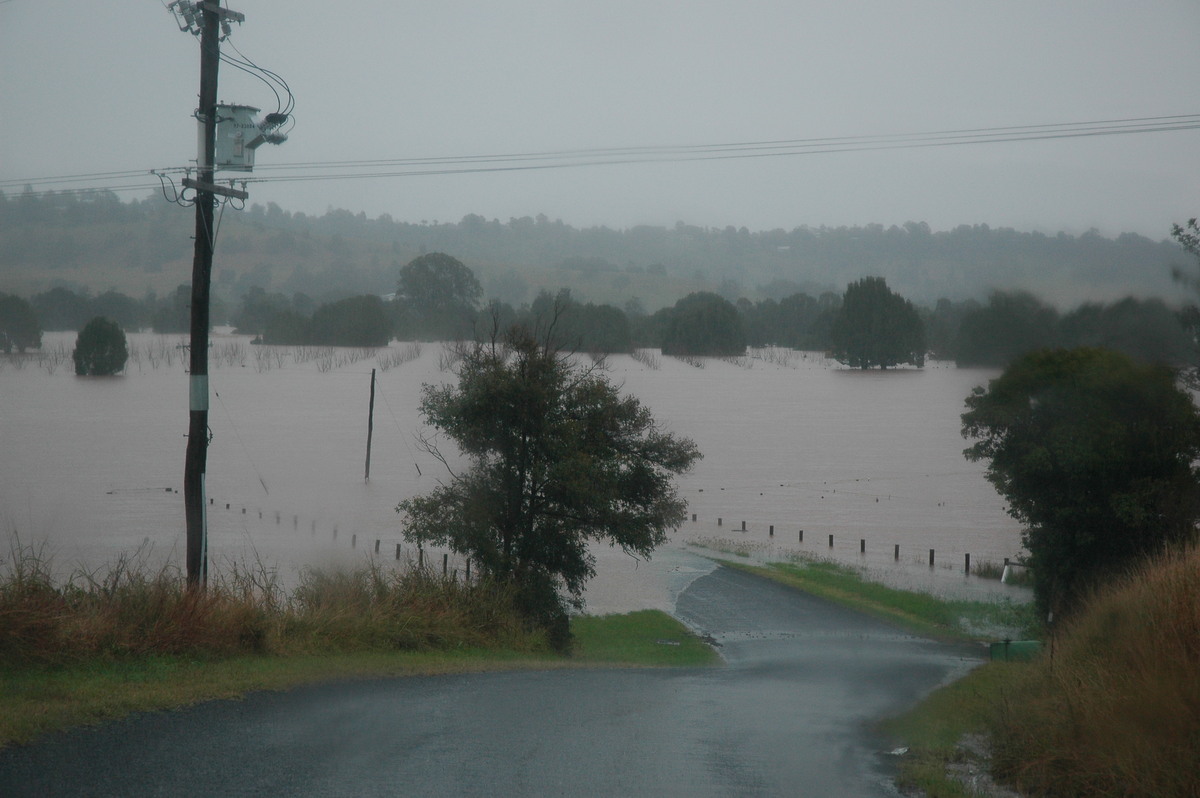 flashflooding flood_pictures : Eltham, NSW   30 June 2005