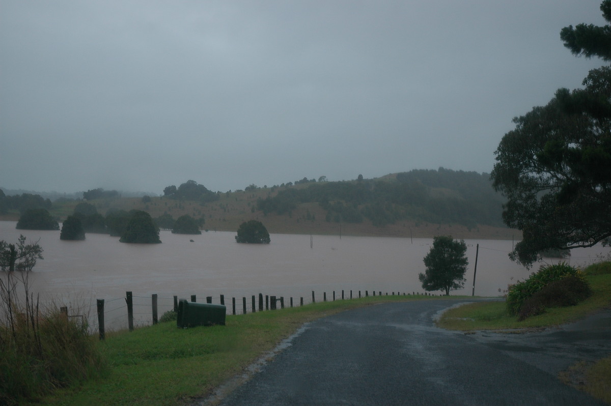 flashflooding flood_pictures : Eltham, NSW   30 June 2005