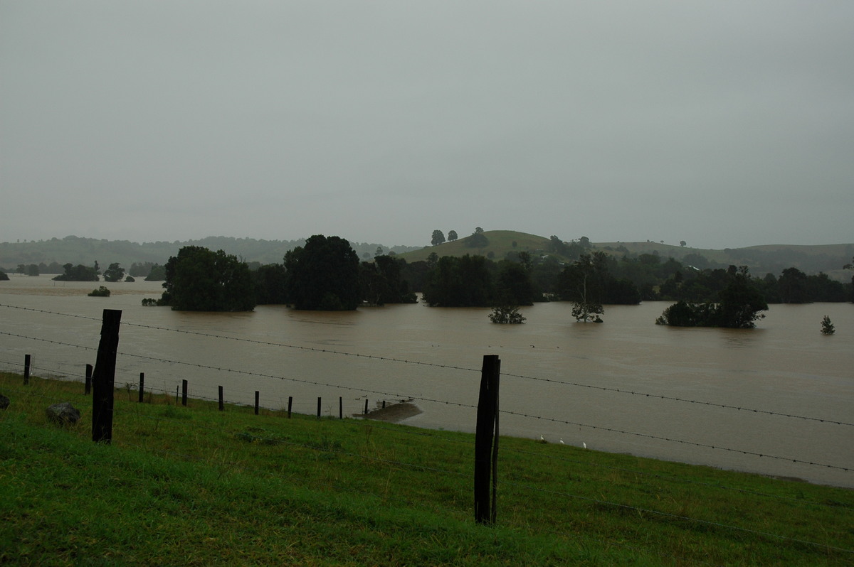 flashflooding flood_pictures : Eltham, NSW   30 June 2005