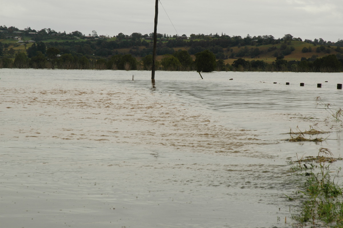 flashflooding flood_pictures : Eltham, NSW   30 June 2005