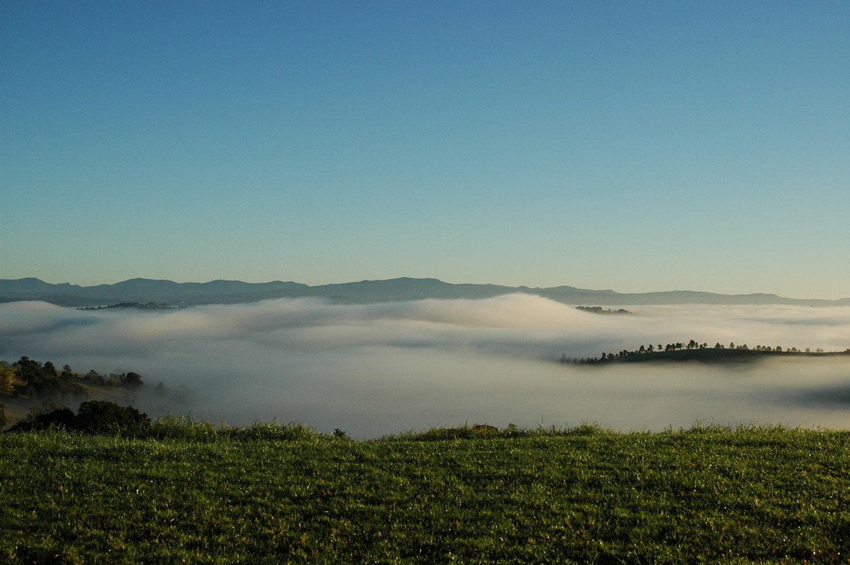 fogmist fog_mist_frost : McLeans Ridges, NSW   2 July 2005