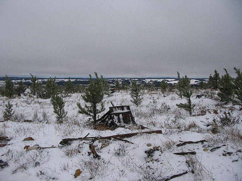 snow snow_pictures : near Oberon, NSW   10 July 2005