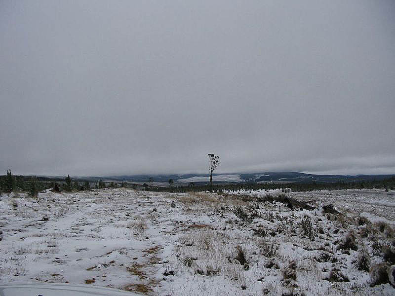 snow snow_pictures : near Oberon, NSW   10 July 2005