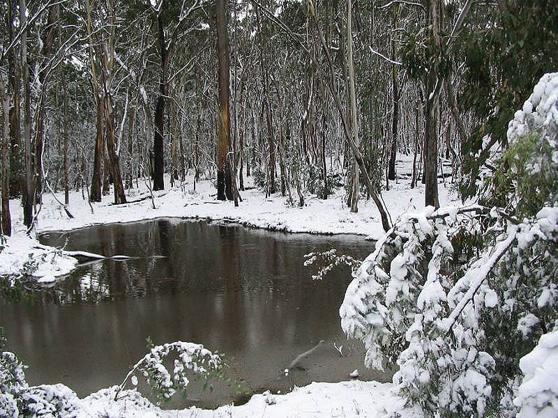 snow snow_pictures : near Oberon, NSW   10 July 2005