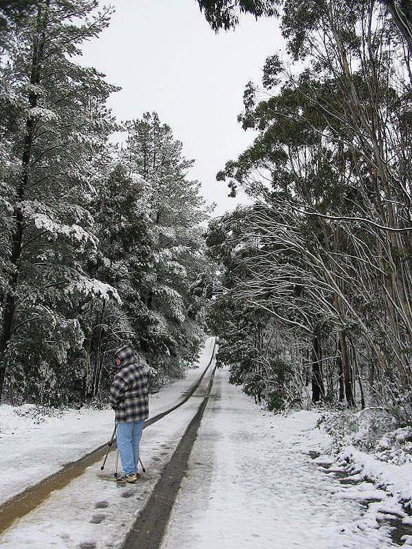 snow snow_pictures : near Oberon, NSW   10 July 2005