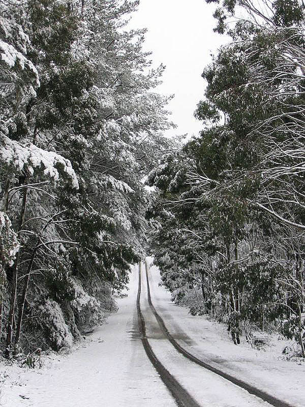 favourites jimmy_deguara : Shooters Hill, NSW   10 July 2005