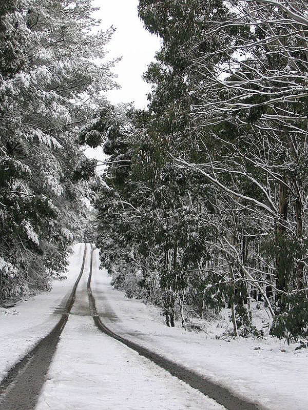 snow snow_pictures : near Oberon, NSW   10 July 2005