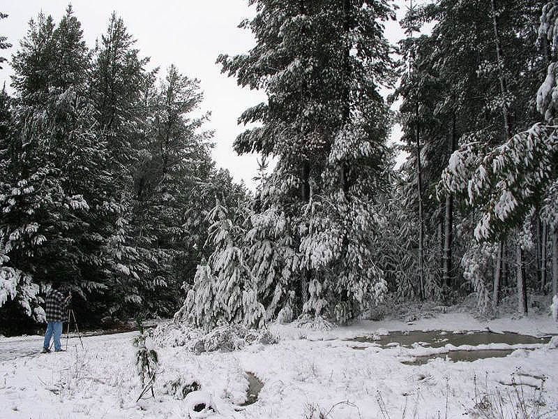 snow snow_pictures : near Oberon, NSW   10 July 2005