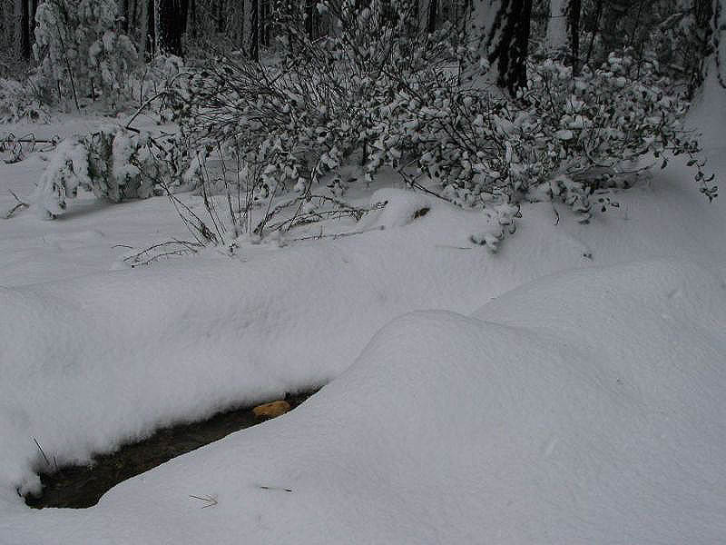 snow snow_pictures : near Oberon, NSW   10 July 2005