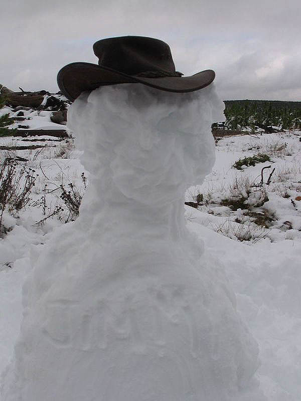 snow snow_pictures : near Oberon, NSW   10 July 2005