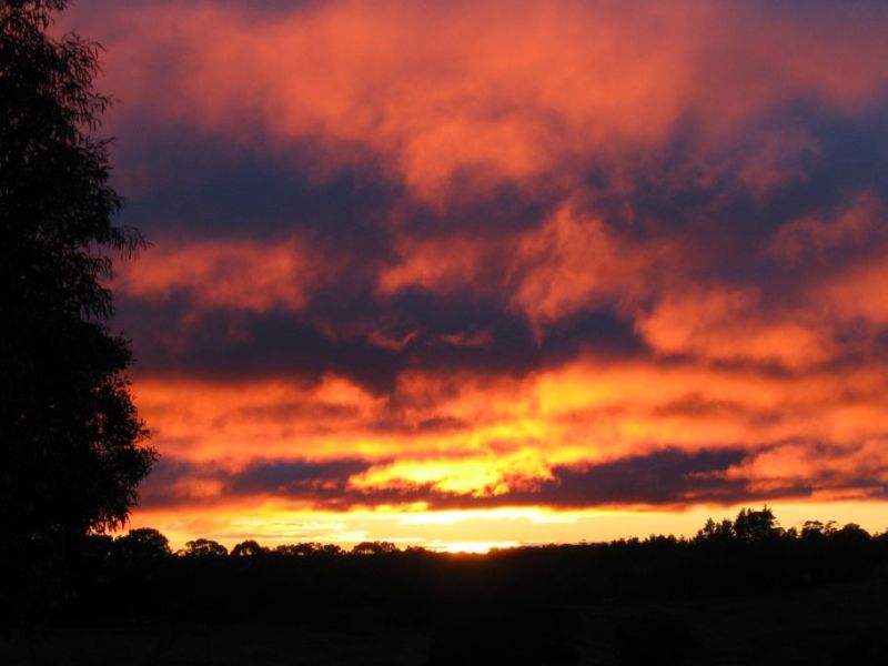 stratocumulus stratocumulus_cloud : near Hampton, NSW   15 July 2005