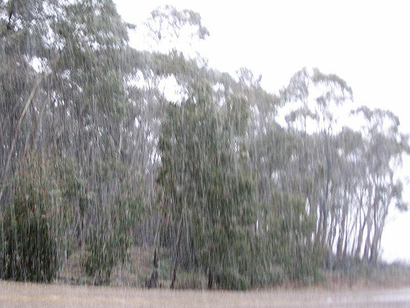 precipitation precipitation_rain : near Oberon, NSW   15 July 2005