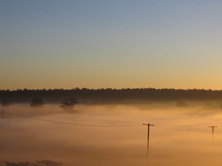 fogmist fog_mist_frost : Schofields, NSW   6 August 2005