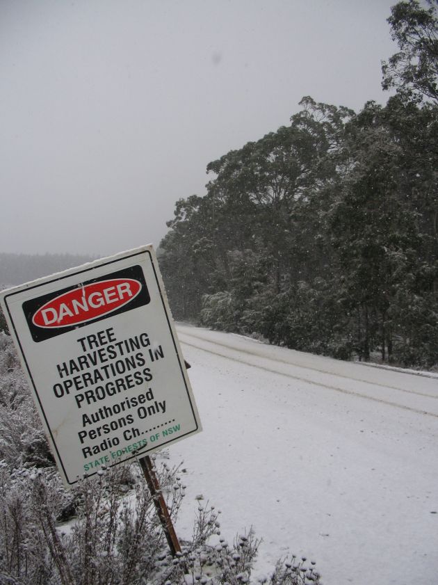 snow snow_pictures : near Shooters Hill, NSW   10 August 2005